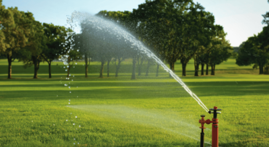 Untitled design (23)